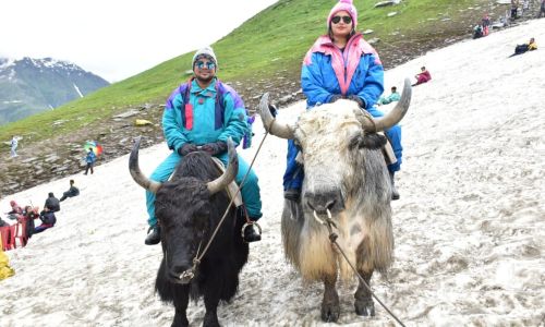 Delhi Kullu Manali Amritsar Tour Package 7 Days Tour Package