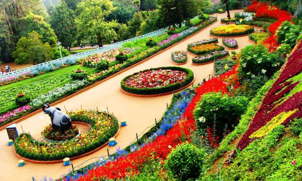 5 DAY TRIP FROM COIMBATORE | OOTY - COONOOR - MUDUMALAI Tour Tour Package