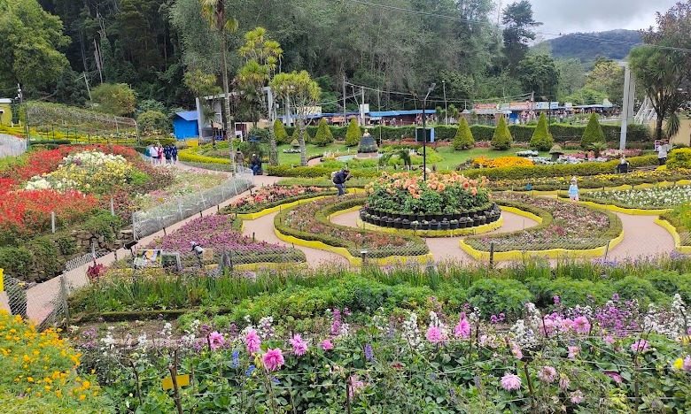 Banglore Mysore Coorg Wayanad OOTY kodaikanal Tour Package