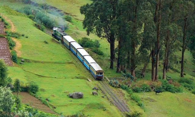Mysore Wayanad Coorg & Ooty Tour Package  Tour Package