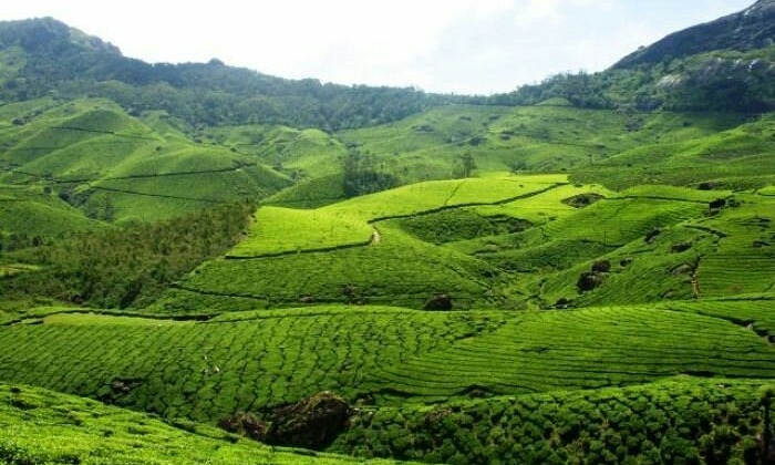 Enchanting Kerala 10 Tour Package