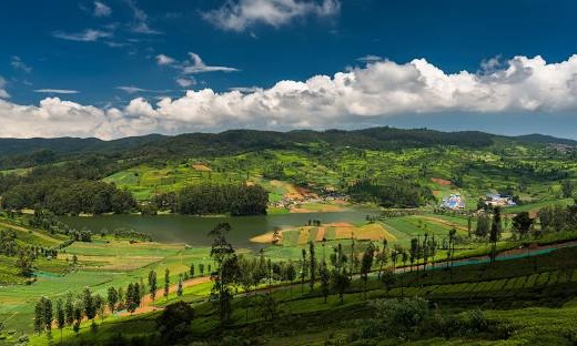 Mysore Ooty & Coorg Tour Package  Tour Package