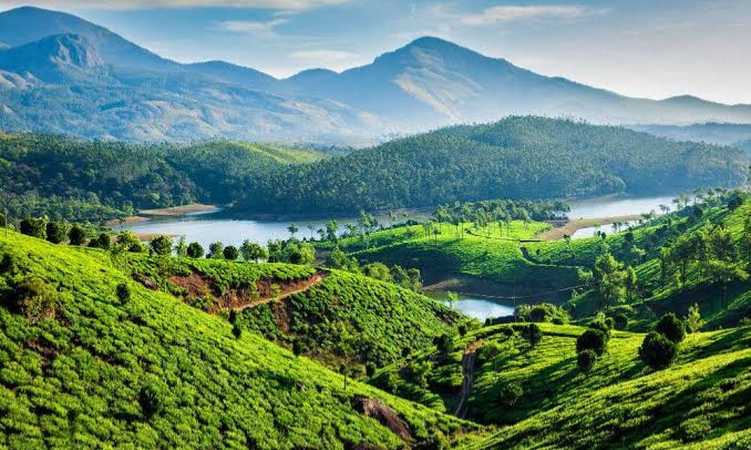 Munnar Tea Trails & Cochin Heritage Tour Tour Package