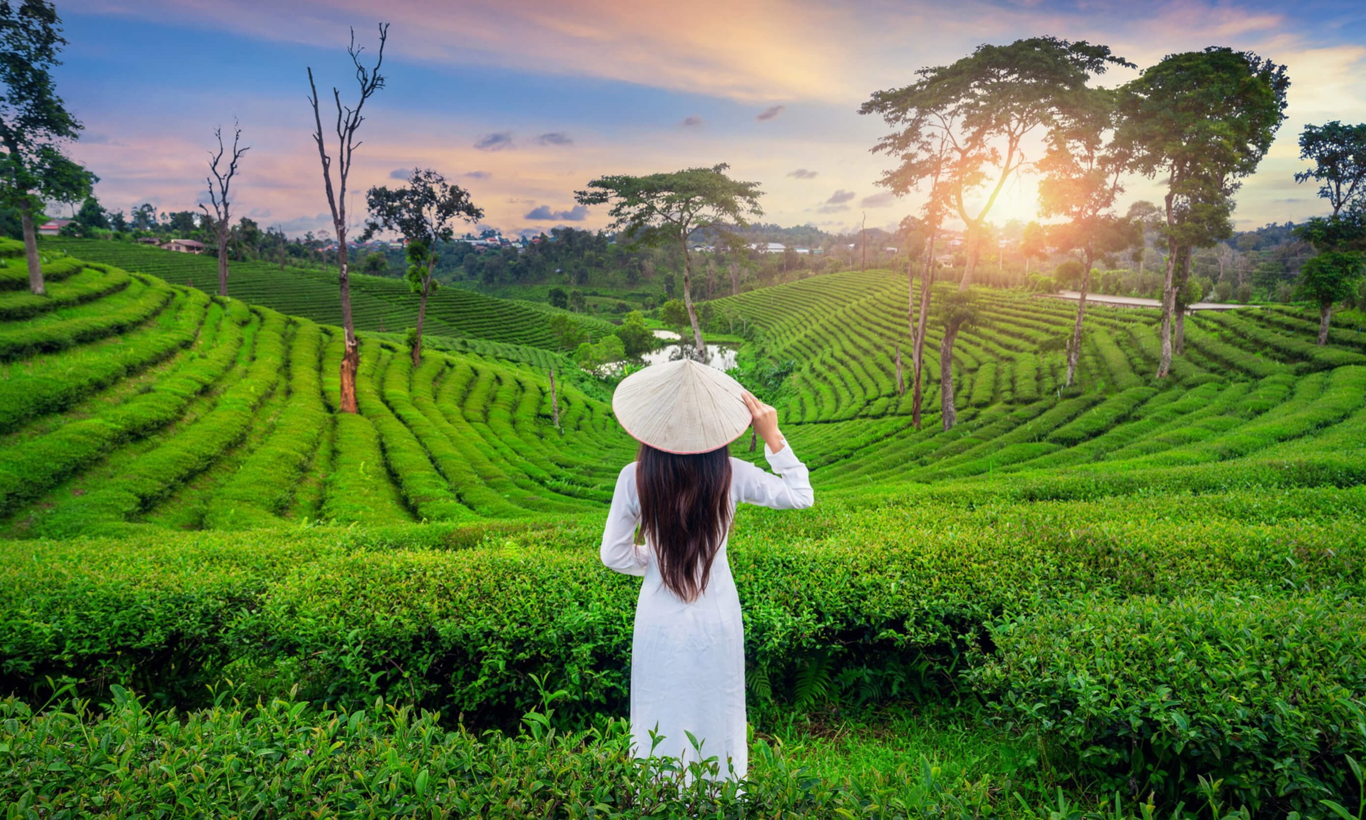 Munnar – Thekkady – Alleppey Tour Package Tour Package
