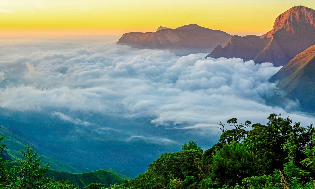 Cochin Munnar Thekkday Alleppey Tour Package Tour Package