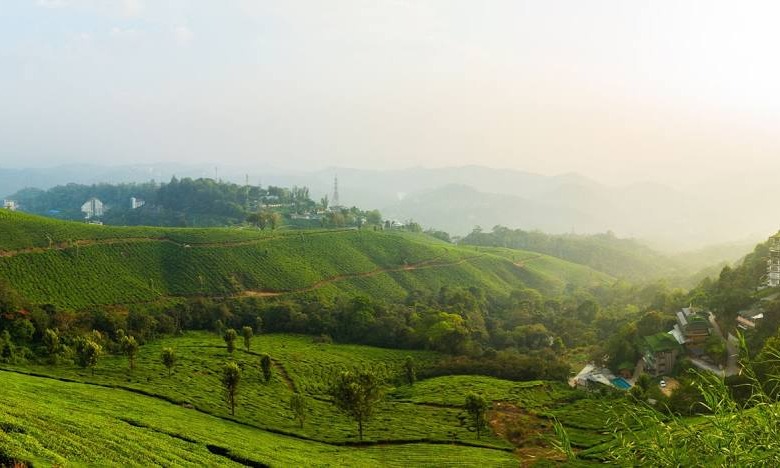 Cochin Munnar Tour Package Tour Package