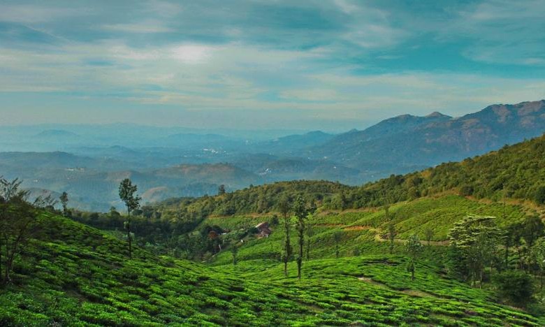 Munnar Thekkady Alleppey Varkala Kanyakumari Tour Package Tour Package