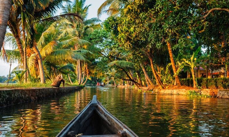 Backwaters & Hills of Kerala Tour Package
