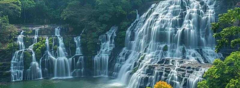 Best Wayanad Tour Package Tour Package